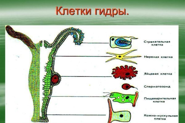 Как найти кракен шоп