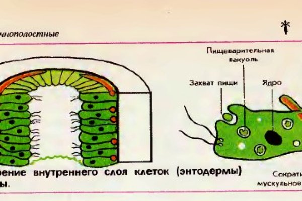 Kraken что это такое