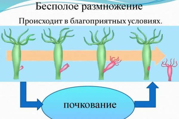 Адрес кракен в тор